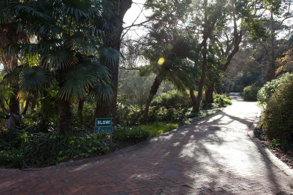 Viettz Suite Stellenbosch Extérieur photo